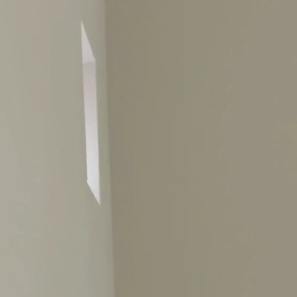 Tiny Tina, a beagle mix, peeking around a corner to say hi